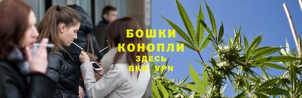 spice Осинники