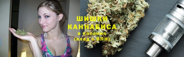 spice Осинники