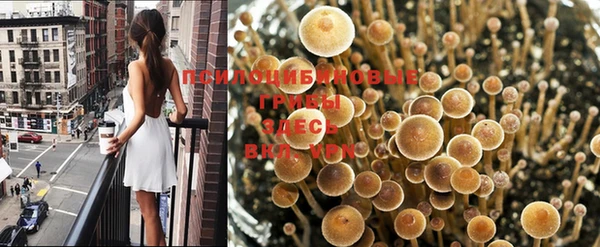 mdma Осташков