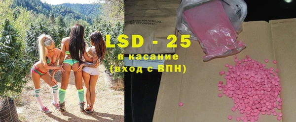 spice Осинники