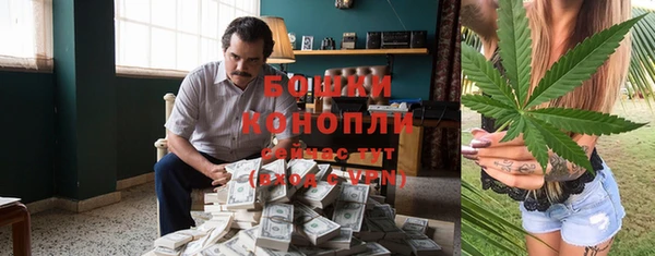 spice Осинники