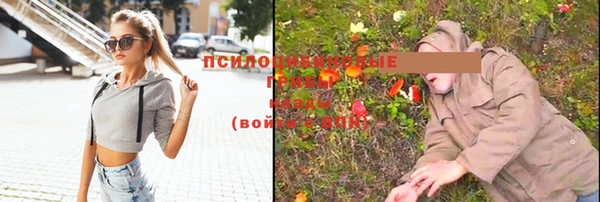 spice Осинники