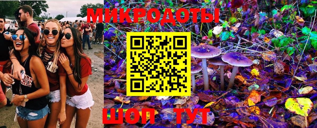 Сосновый Бор  Галлюциногенные грибы Psilocybe  цены наркотик  Вход с VPN 