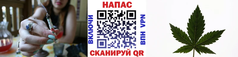 МАРИХУАНА планчик  Сосновый Бор 